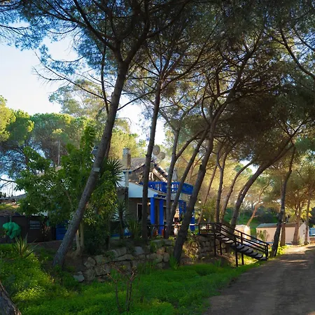 Zaluay -